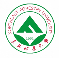 Northeast forestry university
