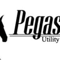 Pegasus utility locating service, inc.