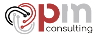 Pm consulting