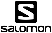 Salomon & company, p.c.