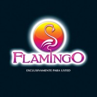 Flamingo computers