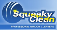 Squeaky clean professional window cleaners