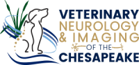 Veterinary neurology & imaging of the chesapeake