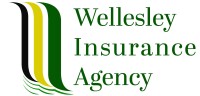Wellesley financial group & insurance agency