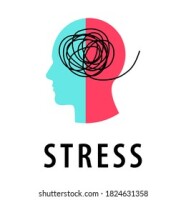 Stress management services