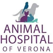 Animal hospital of verona