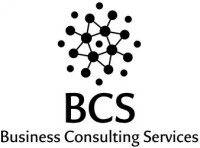 Bcs business consulting services