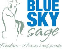 Blue sky sage horseback adventures