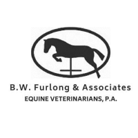 B.w. furlong & associates