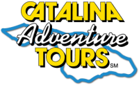 Catalina adventure tours