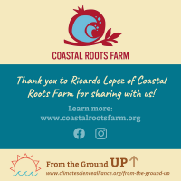 Coastal roots farm