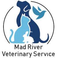 Colyer veterinary svc