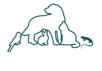 Dublin veterinary hospital