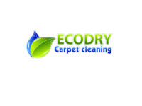 Ecodry carpet cleaning