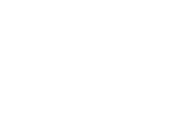 Electric south llc