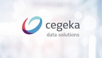 Excelsis data solutions