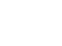 Janus insurance agency, inc