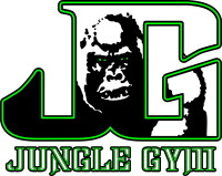 Jungle gym martial arts new rochelle