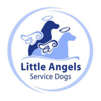 Little angels service dogs