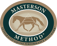 Masterson equine services