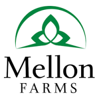 Mellon farms