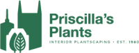 Priscilla's plants