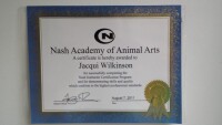 Nash Academy Of Animal Arts