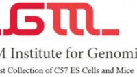 Texas a&m institute for genomic medicine