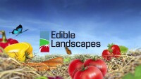 Edible Landscapes