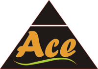 Ace vocational development ltd