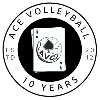 Ace volleyball club