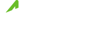 Archie group