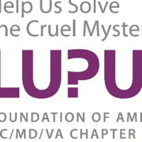 Lupus Foundation of America, DC/MD/VA Chapter