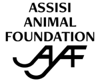 Assisi animal foundation