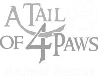 A tail of 4 paws animal rescue