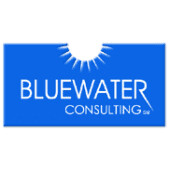 Bluewater consulting services group, llc