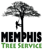 Best tree service llc
