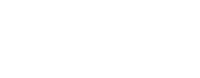Bizurk software