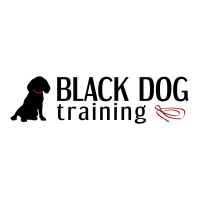 Black dog learning llc