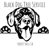 Black dog tree service