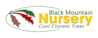 Black mountain nursery