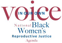 In our own voice: national black women's reproductive justice agenda