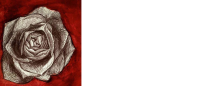 Blackrose advisors