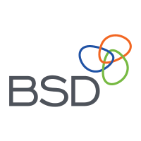 Bsd business consulting