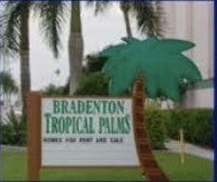 Bradenton tropical palms