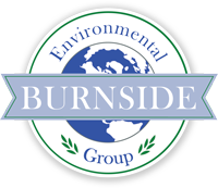 Burnside environmental group, llc