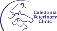 Caledonia veterinary svc
