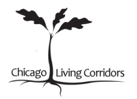 Chicago living corridors