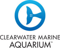 Clearwater marine