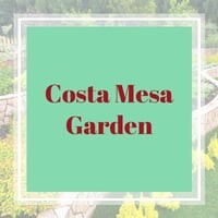 Costa mesa garden